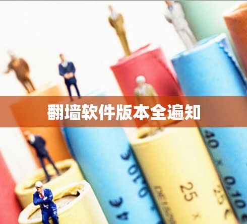 翻墙软件版本全遍知