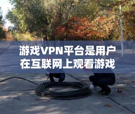 游戏VPN平台是用户在互联网上观看游戏或下载游戏的便捷方式。以下是几个主要的VPN平台及其特点