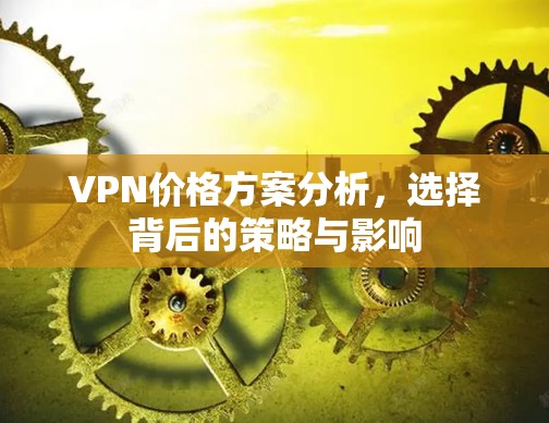 VPN价格方案分析，选择背后的策略与影响