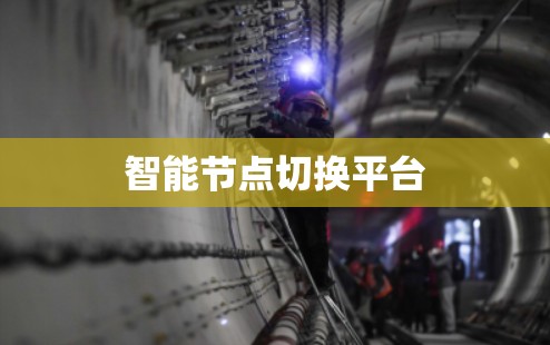 智能节点切换平台 智能节点切换平台