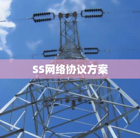 SS网络协议方案