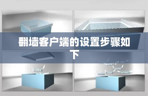 翻墙客户端的设置步骤如下