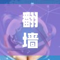 翻墙软件，守护互联网的密码
