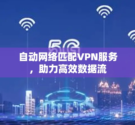 自动网络匹配VPN服务，助力高效数据流