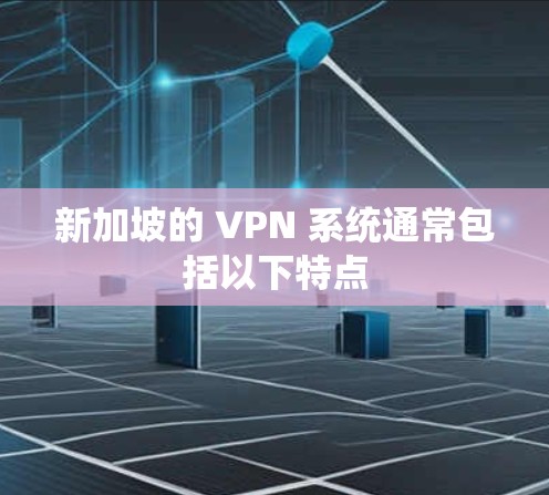 新加坡的 VPN 系统通常包括以下特点
