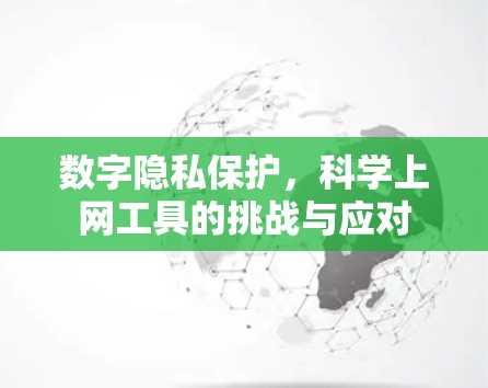 数字隐私保护，科学上网工具的挑战与应对