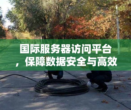 国际服务器访问平台，保障数据安全与高效管理