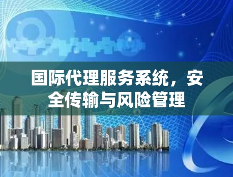 国际代理服务系统，安全传输与风险管理