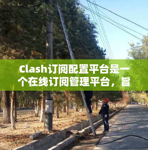 Clash订阅配置平台是一个在线订阅管理平台，旨在帮助用户管理他们的订阅。以下是对该平台的详细说明