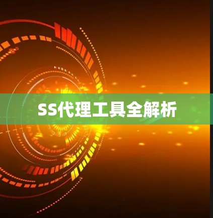 SS代理工具全解析