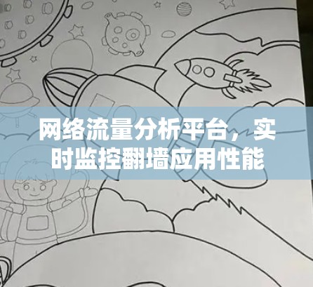 网络流量分析平台，实时监控翻墙应用性能
