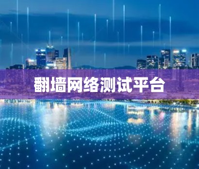 翻墙网络测试平台