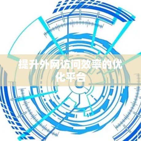 提升外网访问效率的优化平台