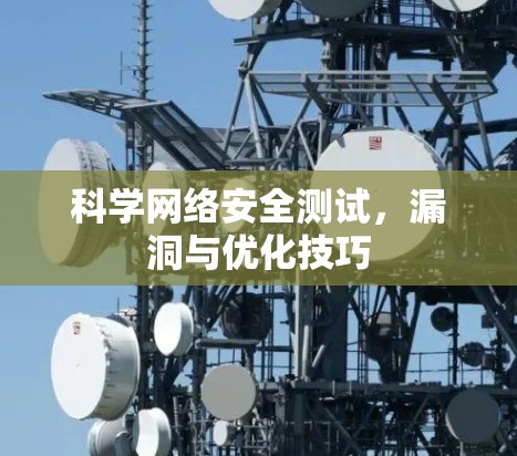 科学网络安全测试，漏洞与优化技巧