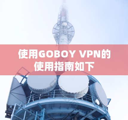 使用GOBOY VPN的使用指南如下