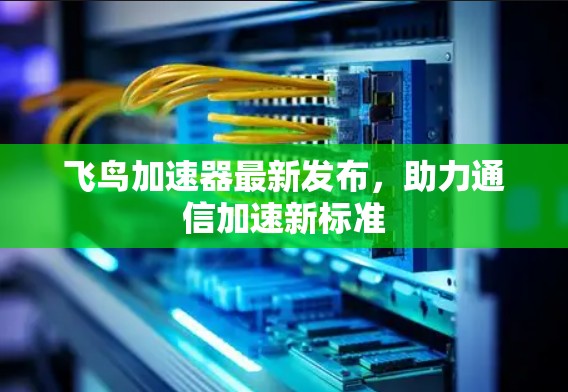 飞鸟加速器最新发布，助力通信加速新标准