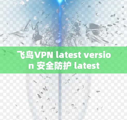 飞鸟VPN latest version 安全防护 latest