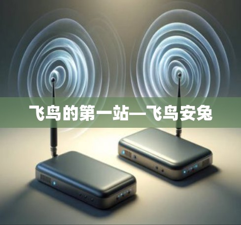 飞鸟的第一站—飞鸟安兔