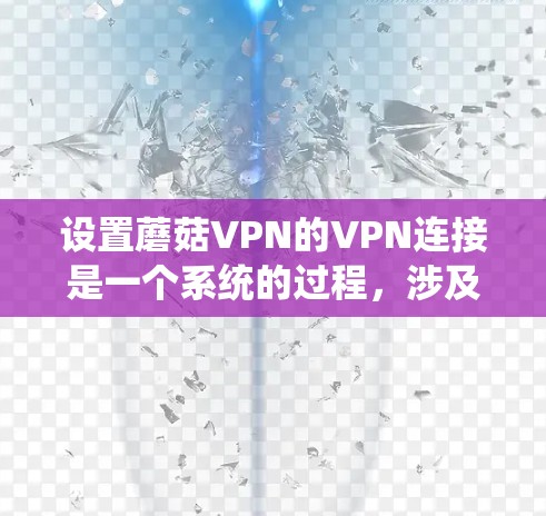 设置蘑菇VPN的VPN连接是一个系统的过程，涉及多个步骤。以下是详细的步骤说明