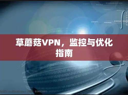 草蘑菇VPN，监控与优化指南