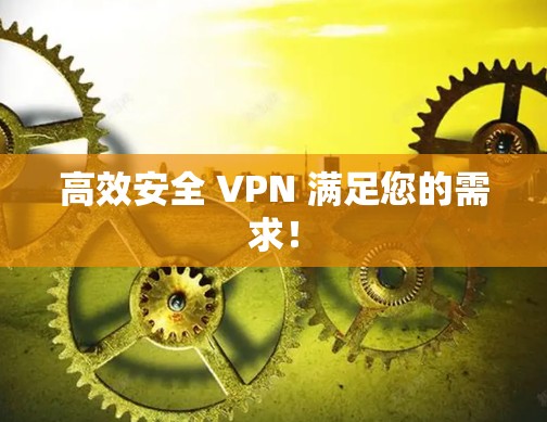 高效安全 VPN 满足您的需求！