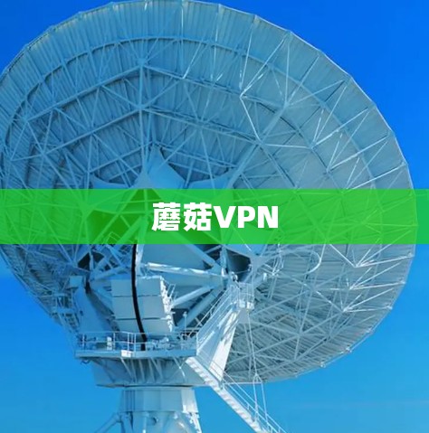 蘑菇VPN