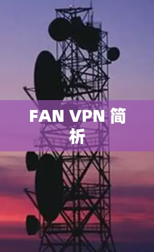 FAN VPN 简析