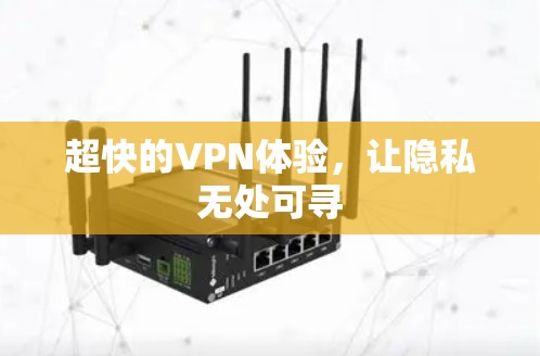 超快的VPN体验，让隐私无处可寻
