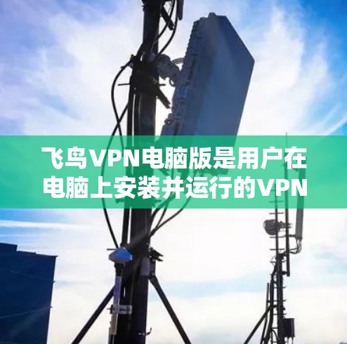 飞鸟VPN电脑版是用户在电脑上安装并运行的VPN软件。以下是对该软件的详细信息