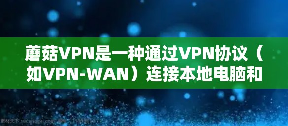 蘑菇VPN是一种通过VPN协议（如VPN-WAN）连接本地电脑和远程服务器的软件。在电脑上使用时，通常需要满足以下条件