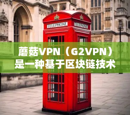 蘑菇VPN（G2VPN）是一种基于区块链技术的加密VPN服务，旨在提供更安全、更透明的网络连接体验。以下是对蘑菇VPN功能的分析