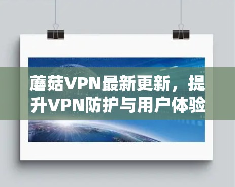 蘑菇VPN最新更新，提升VPN防护与用户体验