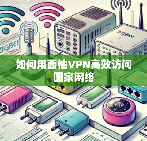 如何用西柚VPN高效访问国家网络