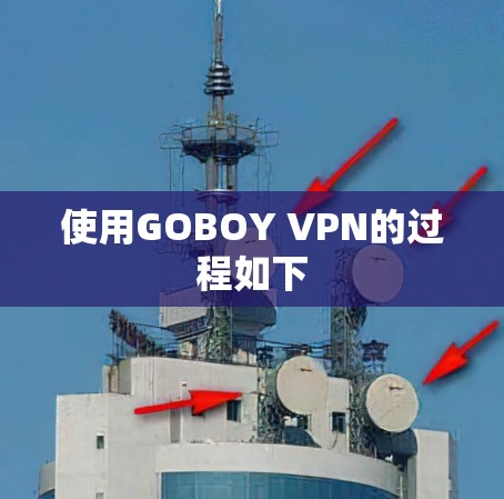 使用GOBOY VPN的过程如下