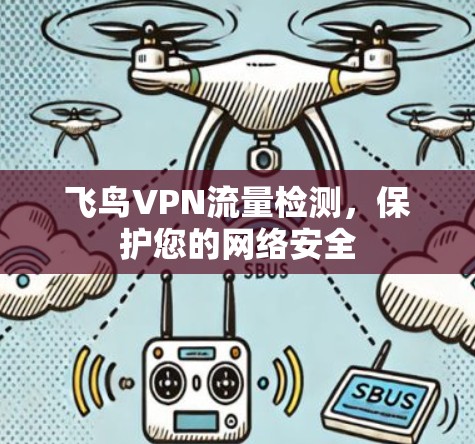 飞鸟VPN流量检测，保护您的网络安全