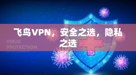 飞鸟VPN，安全之选，隐私之选