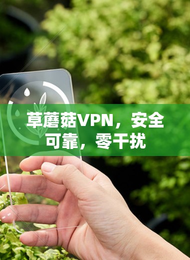 草蘑菇VPN，安全可靠，零干扰
