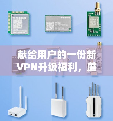 献给用户的一份新VPN升级福利，蘑菇VPN新版本升级版