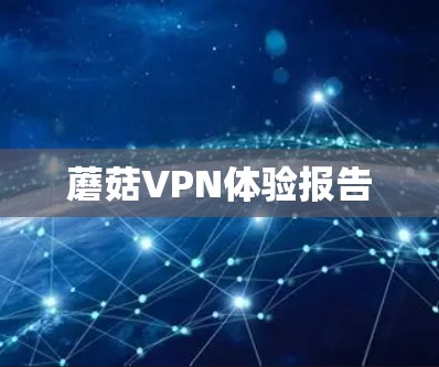 蘑菇VPN体验报告