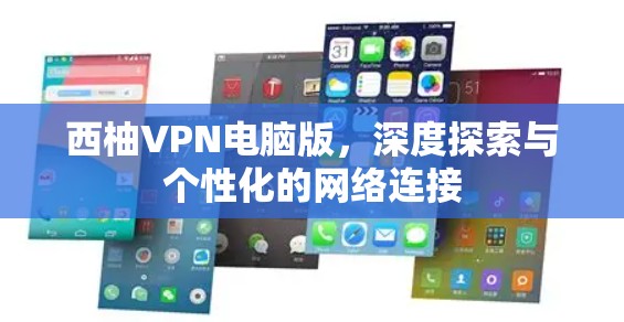 西柚VPN电脑版，深度探索与个性化的网络连接