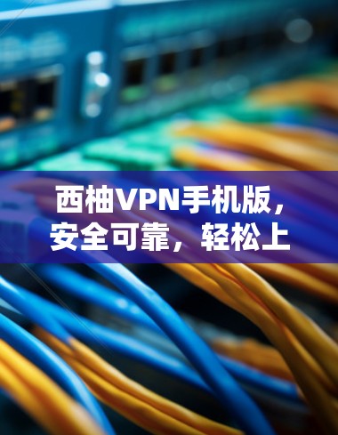 西柚VPN手机版，安全可靠，轻松上云