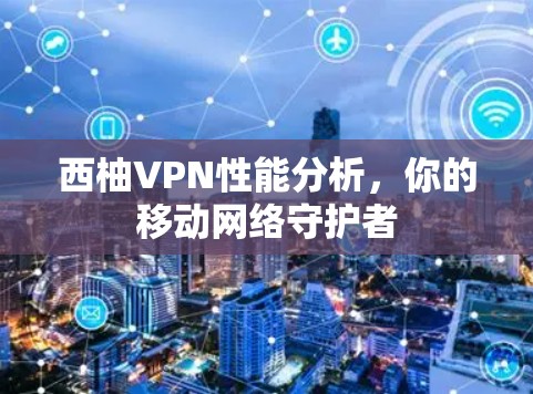 西柚VPN性能分析，你的移动网络守护者