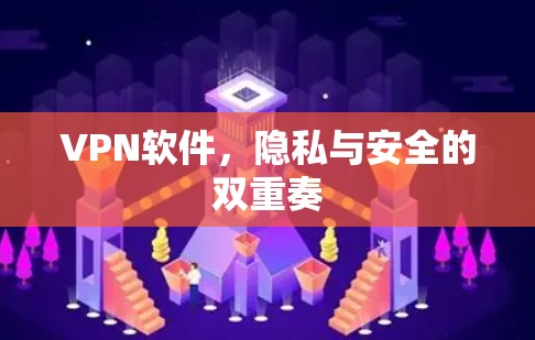 VPN软件，隐私与安全的双重奏