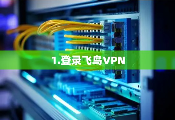 1.登录飞鸟VPN