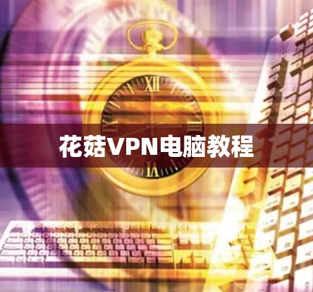 花菇VPN电脑教程