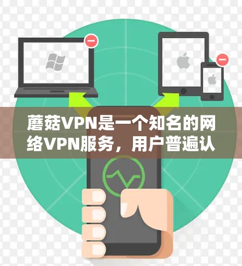 蘑菇VPN是一个知名的网络VPN服务，用户普遍认为其速度非常快。以下是蘑菇VPN速度体验的总结