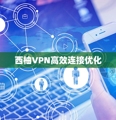 西柚VPN高效连接优化