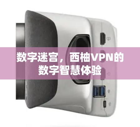 数字迷宫，西柚VPN的数字智慧体验