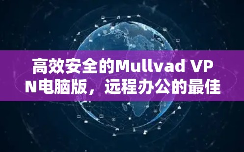 高效安全的Mullvad VPN电脑版，远程办公的最佳选择