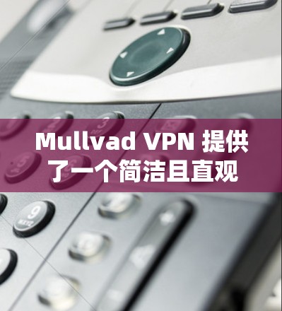 Mullvad VPN 提供了一个简洁且直观的VPN体验，适合有一定技术背景的用户。以下是其主要功能和使用指南